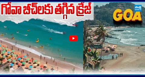 Rising Costs and Visa Delays Impact Foreign Tourism in Goa 1