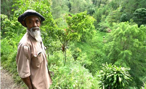 Mbah Sadiman He Transformed Barren Hills Into Green Forests