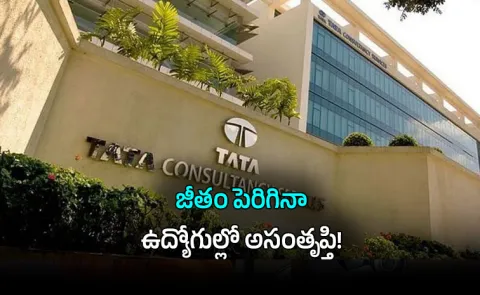 TCS Salary Hike Sparks Employee Outrage Net Pay Cuts Layoff Fears IT Sector