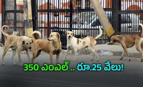Hyderabad-based vet sells blood of stray dogs