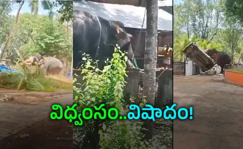 Tragic elephant attack at Kidangoor Mahavishnu Temple in Kerala
