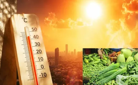 Health Tips: Kitchen Swaps Your Body Needs Temperatures Cross 40C12
