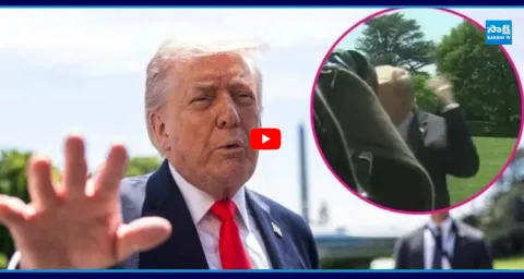 Trump vs The Vicious Bee White House Live Speech Interrupted  1