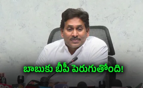 YS Jagan Key Comments On Amaravati In Press Meet