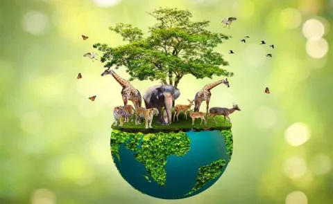 Sagubadi: Why Is Biodiversity Important to Agriculture