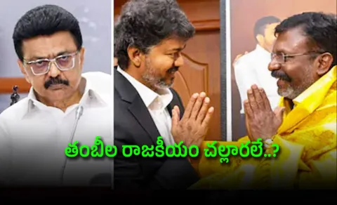 tamilnadu news dmk raja crooked coconut tree vck vijay tvk