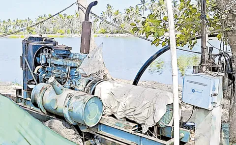 Power Cuts Hit Aqua Farmers Badly: Andhra pradesh