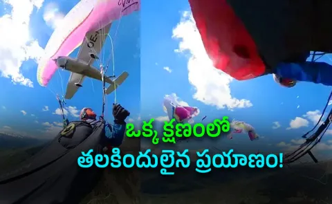 Austrian Alps Plane Hits Paraglider Mid Air video Viral