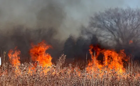 Burning of agricultural or grass burning carbon!