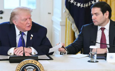 every country has stupid people if it applies to trump