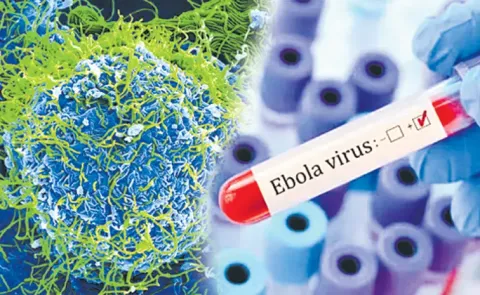 Center's key statement on Ebola virus