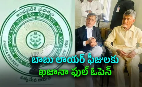 AP Govt Opens Treasury for Chandrababu Lawyer Sidharth Luthra