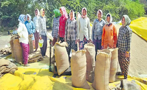Women Farmers Turn into Hamalis to Load Paddy Bags in Peddapalli