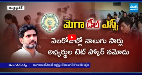 Chandrababu Master Plan On Mega DSC 2025 3