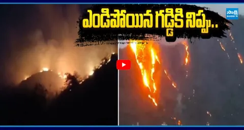 Flames Rage Across the Undavalli Hills Guntur District 1