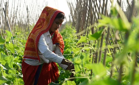 SEHAT missionimportance of sustainable food in improving public health