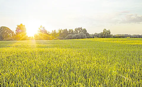 Southwest Monsoons likely to pick up in June: Andhra pradesh