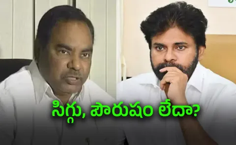 TDP Leader OV Ramana Sensational Comments On Pawan Kalyan
