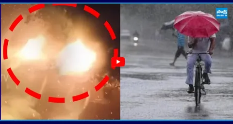 Heavy Rains In Telugu States Lightning Struck On Coconut Tree 3