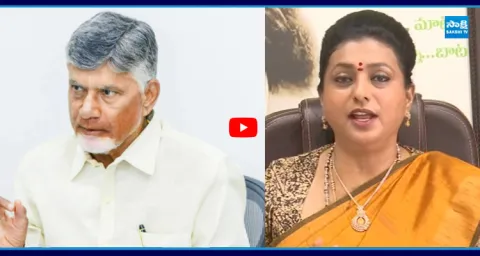 RK Roja SENSATIONAL Comments On TDP Mahanadu 2026 1