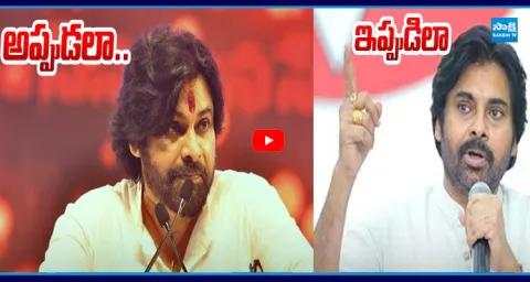 Deputy CM Pawan Kalyan Comments On Kapu Leaders