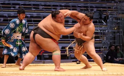 Japan's Summer Grand Sumo Tournament