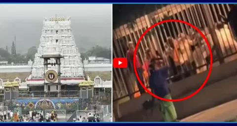 Devotees Fighting In Queue Line At Tirumala  1