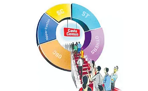Political representation by caste and sub-caste