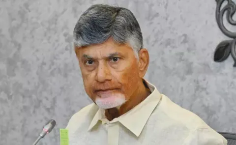 Chandrababu Naidu Election Campaign fail in Tamil Nadu
