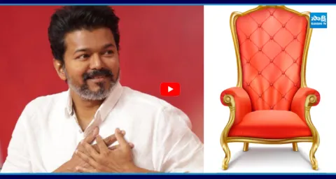 Vijay TVK Alliance Options: 3 Key Choices for TVK Vijay 2