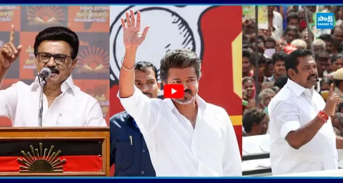 Vijay Grand Victory In Tamil Nadu Elections 1