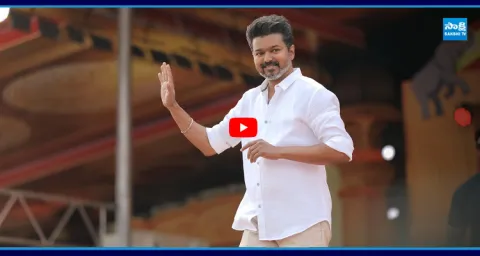 TVK Vijay Political Success Story 