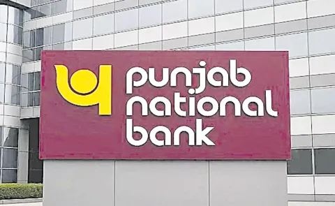 Punjab National Bank Q4 Results: Profit rises 14 Percent to Rs 5225 crore and NII dips: Rs 3 dividend declared1