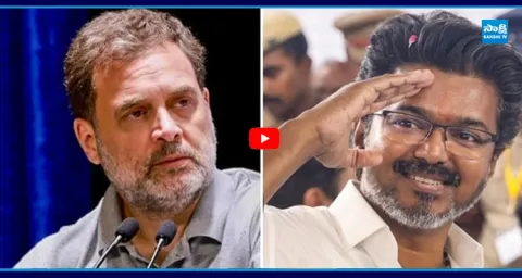Congress Backs Vijay's TVK To Form Government In Tamil Nadu 1