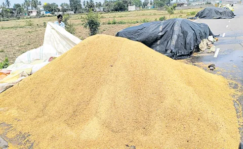 Chandrababu Naidu govt Failure for Paddy procurement