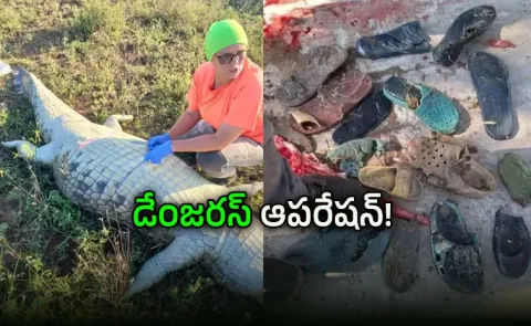 dangerous operation Missing businessman remains found in crocodile 