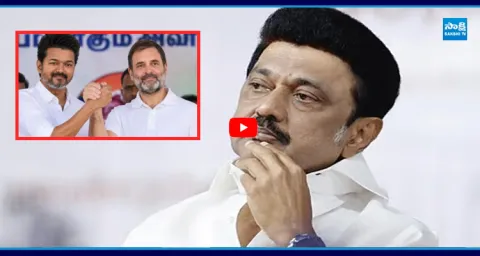 Congress Ditch DMK And Support Vijay TVK For Tamil Nadu Govt Formation 1