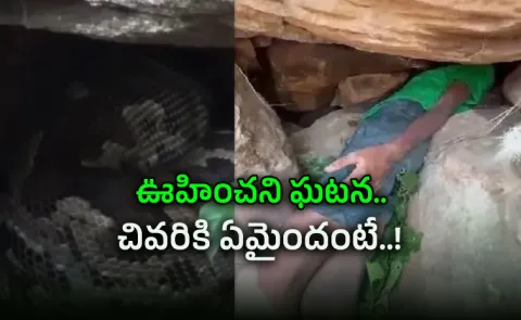 Odisha Boy Gets Head Stuck In Crevice and Finds Snake Staring At Him