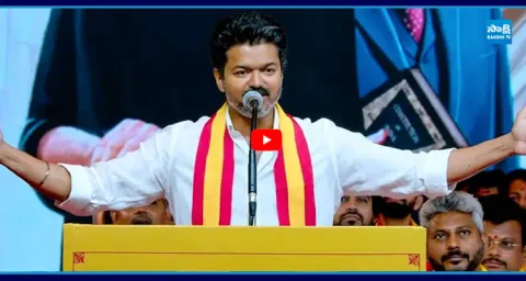 Major 10 Reasons Behind The TVK Vijay Victory In Tamil Nadu Election