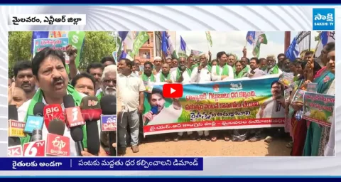 Jogi Ramesh Demands CM Chandrababu For Paddy Procurement From Farmers  1