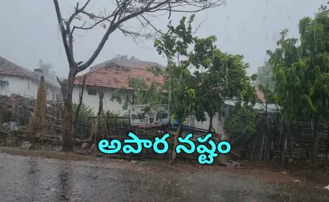 Unseasonal Rains Wreak Havoc in Telangana