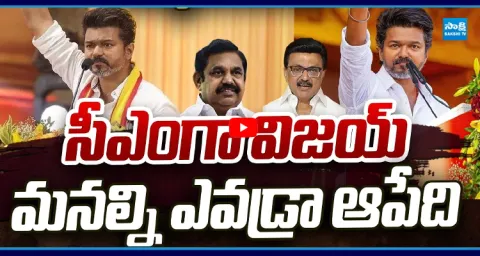 TVK Secures 118 MLA Support in Tamil Nadu 1
