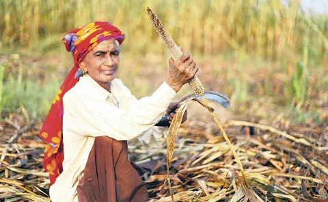 Sakshi Guest Column On Nutritional and Health Benefits of Millets