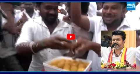 TVK Party Activists And Vijay Fans Celebrations