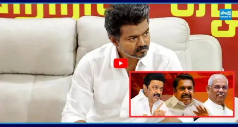 TVK Vijay Struggles to Form GOVT