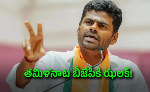 Sources Says BJP Leader Annamalai To Launch New Party In Tamil Nadu