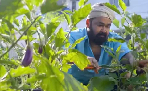 Mohanlal green haven How actor turned passion for organic farming into a success