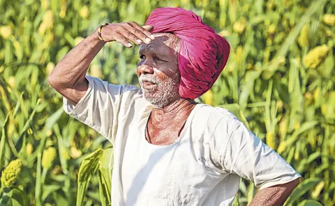 tenant farmers survey report recognition in telangana