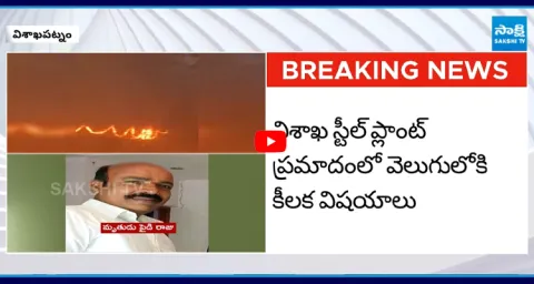 Shocking Facts about Visakhapatnam Steel Plant Incident  2