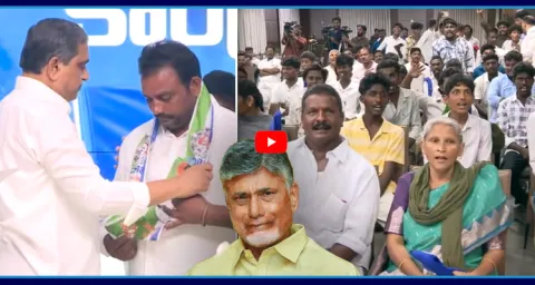 100 TDP Families Joins YSRCP Party At Ponnuru  1